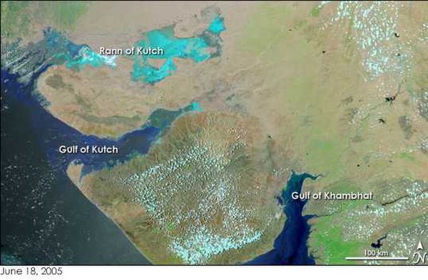 Saurashtra between Gulf of Kutch and Gulf of Khambat. Image NASA Earth Observatory.