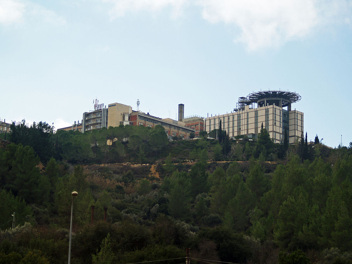 Centro Médico Hadassah - Wikipedia, la enciclopedia libre