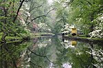 Brandywine Creek (Christina River tributary)