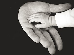 De la mano de papá (Unsplash) .jpg