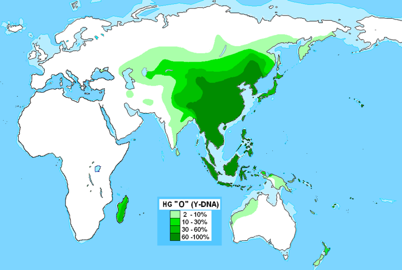 File:Haplogrupo O (ADN-Y).PNG