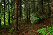 Hardcastle Crags near Hebden Bridge, a National Trust estate