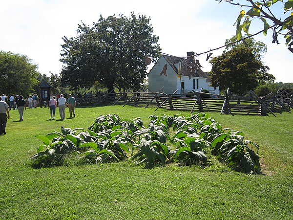 The Hillsman House and grounds, as they existed in 2012