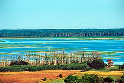 Vue sur le lac