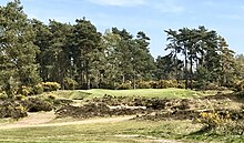 Woodhall Spa Golf Club - Wikipedia