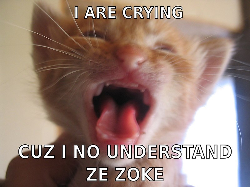 File:I are crying cuz I no understand ze zoke.jpg