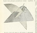 Image taken from page 186 of 'La Terra, trattato popolare di geografia universale per G. Marinelli ed altri scienziati italiani, etc. (With illustrations and maps.)' (11294131693).jpg