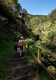 Jules and Gabriel on the staircase down to Furna do Enxofre, Caldeira, Graciosa Island, Azores, Portugal