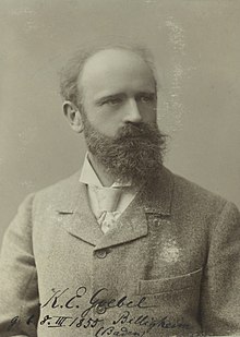 Karl Eberhardt Goebel, c. 1898 - Accademia delle Scienze di Torino 0151 B.jpg