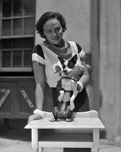 File:Katherine DeMille with trick dog.jpg