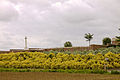 Kemmel No.1 French Cemetery