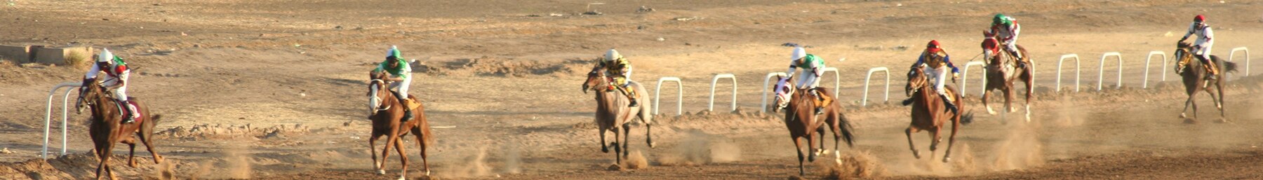 Khartum banner Horse racing.jpg