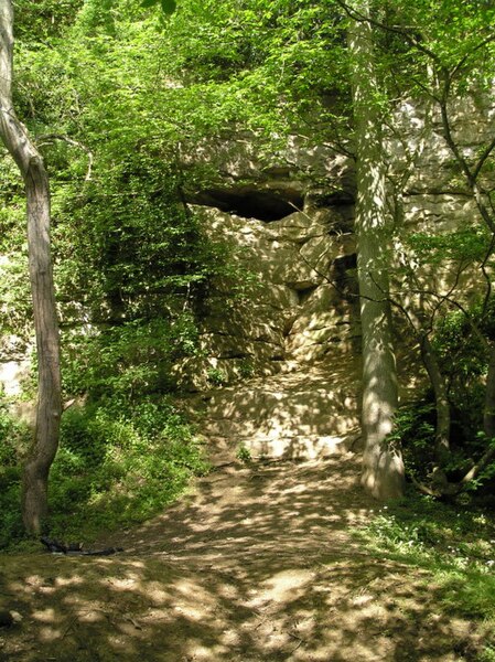 File:Kirkdale cave - geograph.org.uk - 801851.jpg