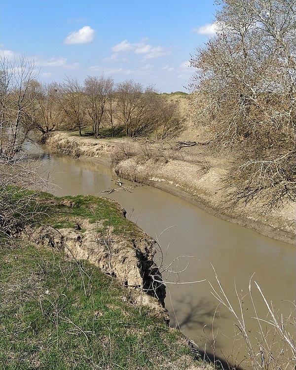 Кума (река, впадает в Каспийское море)