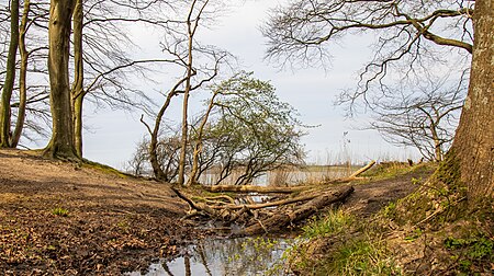 LSG Schwansener Schleilandschaft SH msu 1670