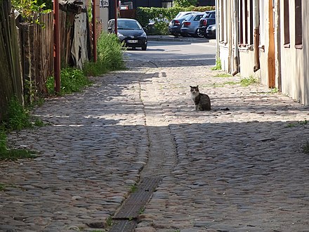 A cobblestone lane in the Old Town (Senamiestis) in Kaunas.