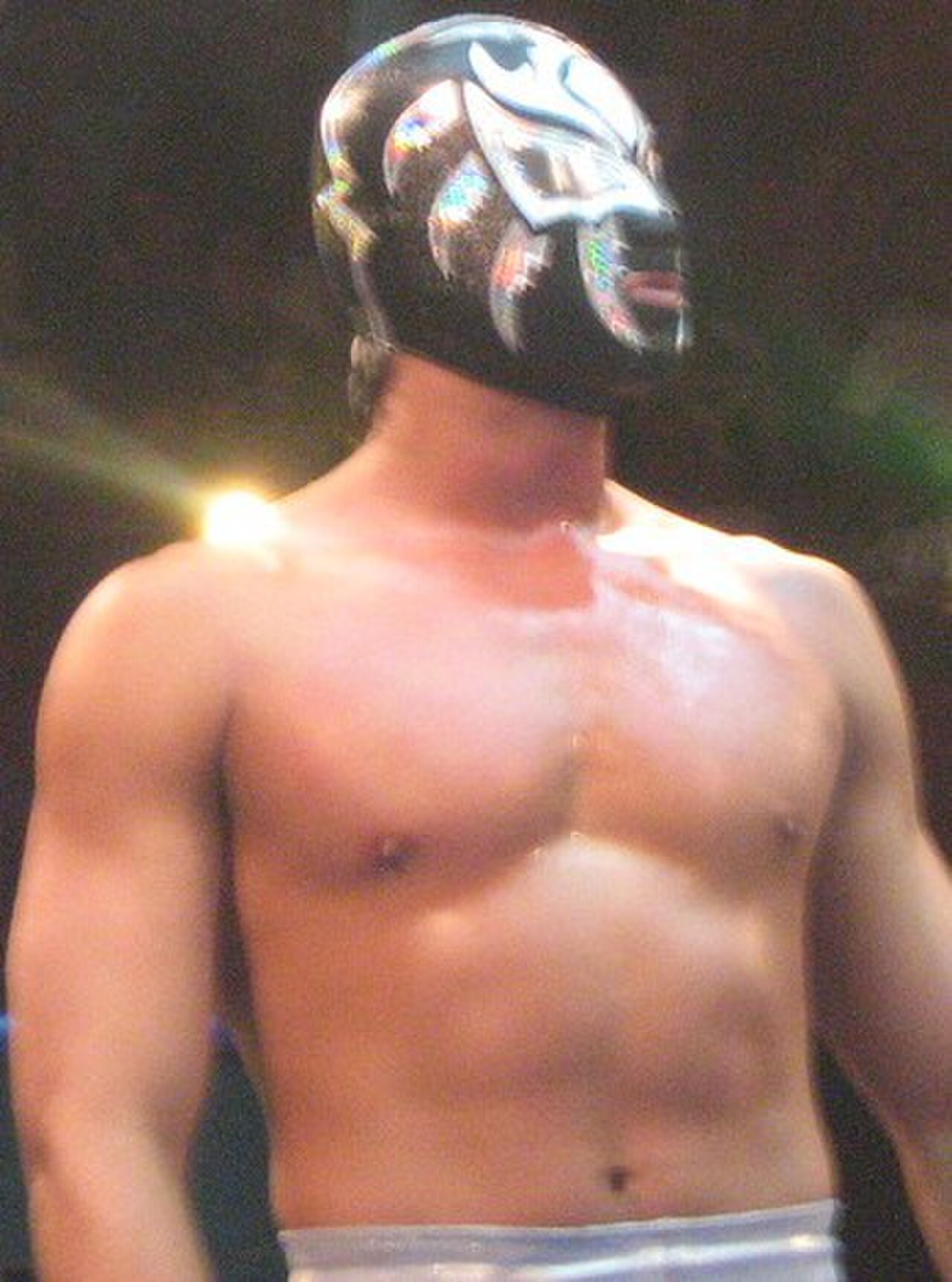 CMLL Torneo Nacional de Parejas Increíbles (2013)