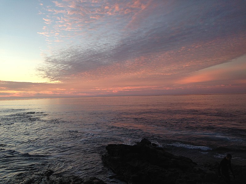 File:La Jolla Cove 21 2014-01-09.jpg