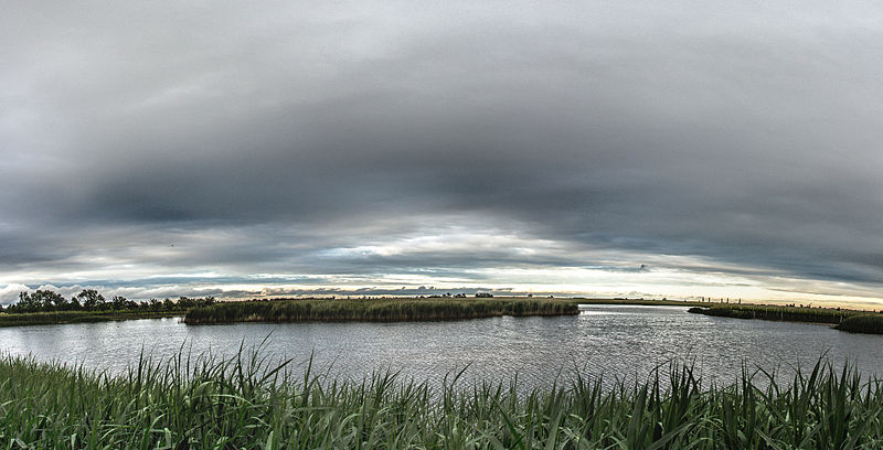 File:Lacke Neusiedlersee 4.jpg