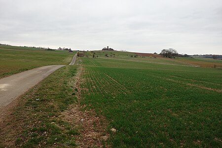 Landschaftsschutzgebiet Warte