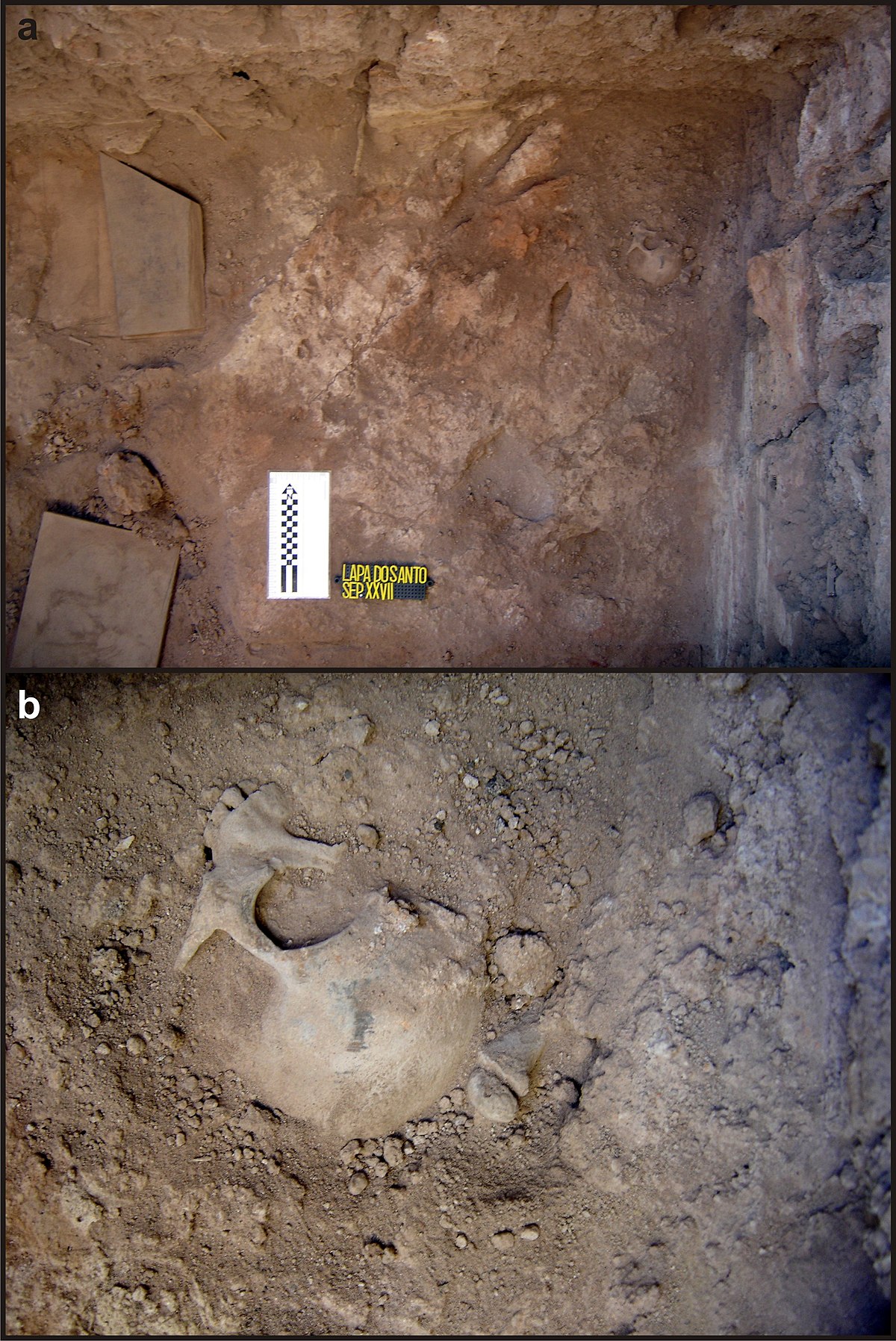 File:Lapa do Santo - Sepultamento 27 - Maxilar e mandibula.jpg