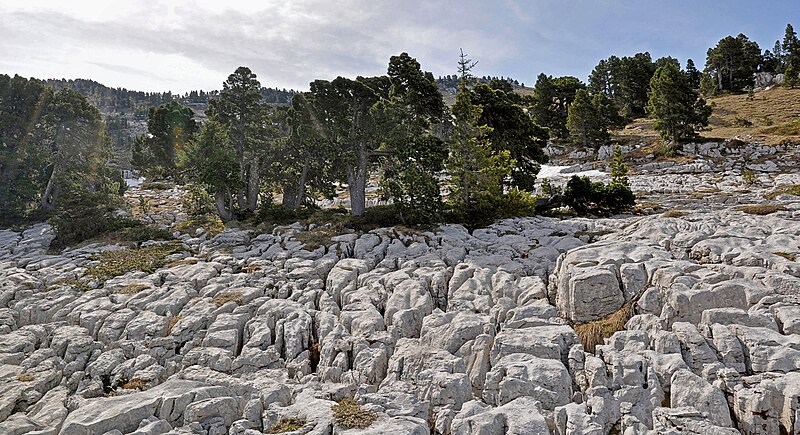 File:Lapiaz de la Dent de Crolles DSC 0161.jpg