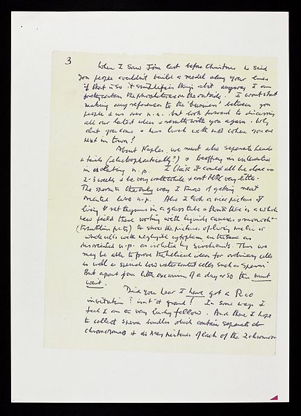 File:Letter from Wilkins to Crick regarding their work on DNA Wellcome L0073504.jpg