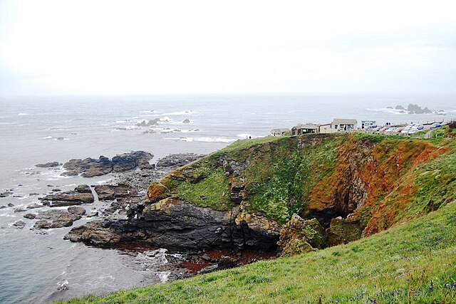 Lizard Point seen from near the Youth Hostel