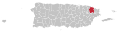 Locator-map-Puerto-Rico-Rio-Grande.svg