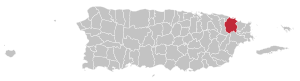 Map of Puerto Rico highlighting Río Grande Municipality