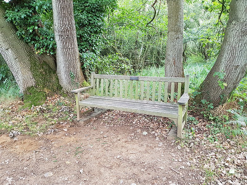 File:Long shot of the bench (OpenBenches 8403-1).jpg