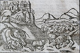 Зарисовка с изображением дракона из Cosmographie Universalis[англ.] (1544) Себастиана Мюнстера