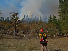 Bureau of Land Management using fire to maintain a landscape in Western Oregon Maintenance Burn (16917515735).jpg