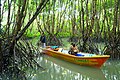 Mangrove Wisata Edukasi