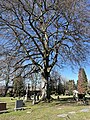 * Nomination: Lake View Cemetery, Seattle, Washington --Another Believer 00:49, 21 March 2024 (UTC) * * Review needed
