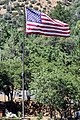 * Nomination National flag of the USA at a storefront in Mariposa, California, USA --XRay 04:26, 4 November 2022 (UTC) * Promotion  Support Good quality -- Johann Jaritz 05:42, 4 November 2022 (UTC)