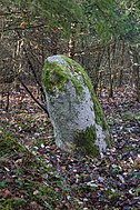 "Der Stein" – Menhir bei Dossenbach