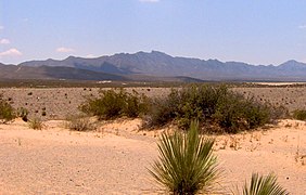 Mesilla Valley desert at TX/NM state line
