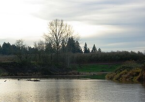 Mission Creek na St. Paul - Oregon.JPG