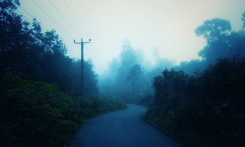 File:Misty dark Morning.jpg