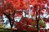 三瀧寺 （重要文化財）