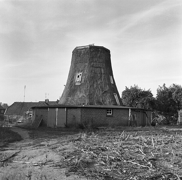 File:Molen, romp - Holten - 20114097 - RCE.jpg