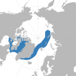 Monodon monoceros distribution map.svg