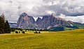 * Nomination Seiser Alm with Langkofel group. --Moroder 04:06, 16 August 2020 (UTC) * Promotion  Support Le Corbusier gave the answer to the question "Which is the most beautiful construction on this planet?": THE DOLOMITES. Good quality -- Johann Jaritz 04:23, 16 August 2020 (UTC)