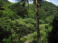 Most of Honduras has a humid tropical climate. MontanasdelaSierradeAgalta Honduras.jpg