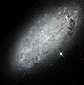 Vue d'ensemble de NGC 2976 par le télescope spatial Hubble.