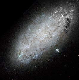 NGC 2976