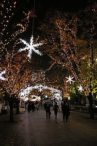 【比較】大阪市・OSAKA光のルネサンス（2006年1月）。落葉し切らないため、幹沿いにしか電飾できず、また、葉が邪魔して上から電飾を見づらい。