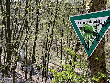 Naturschutzgebiet Lobach (Remscheid)