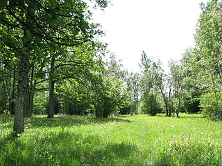 Nedrema Nature Reserve Protected area in Estonia